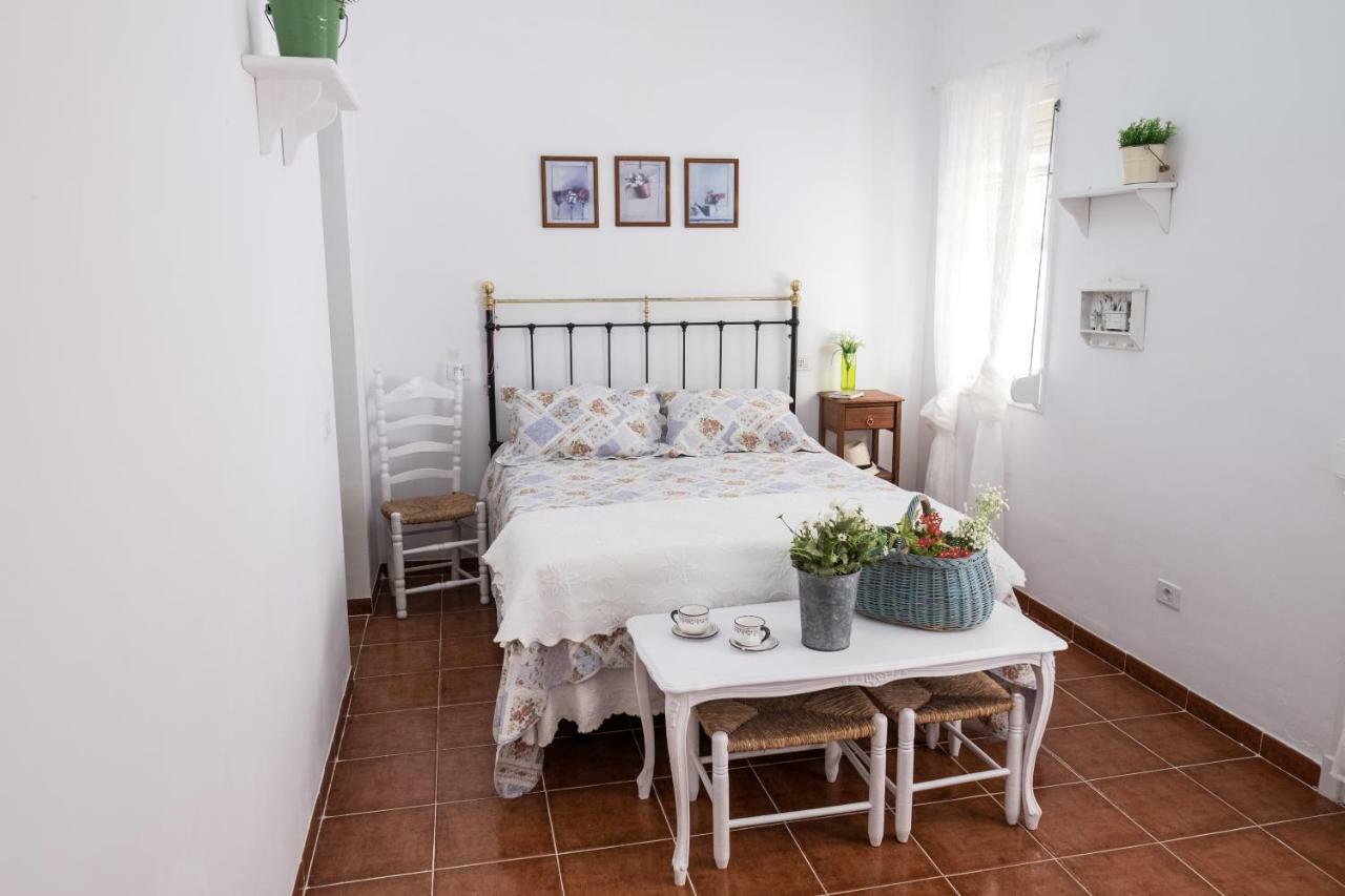 圣克鲁斯-德特内里费Casa Maria Cristina 3公寓 外观 照片